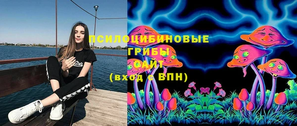 мяу мяу мука Балабаново